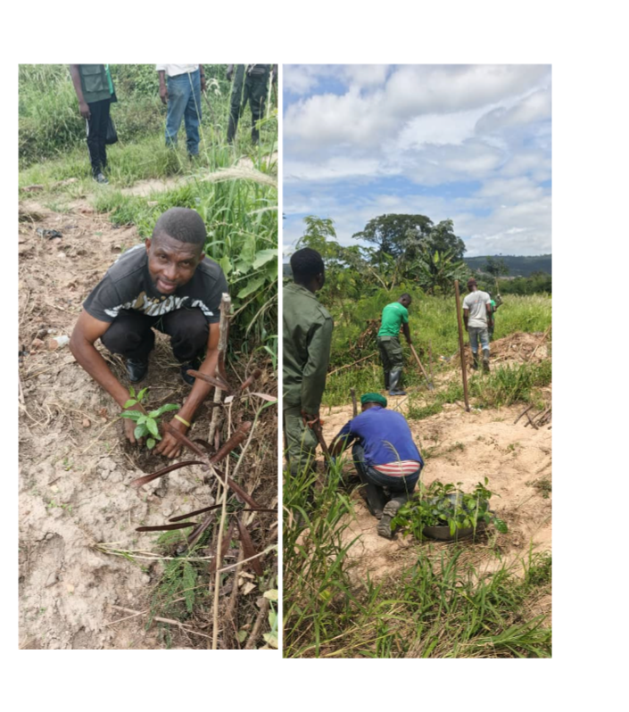 Tree Planting Ceremony