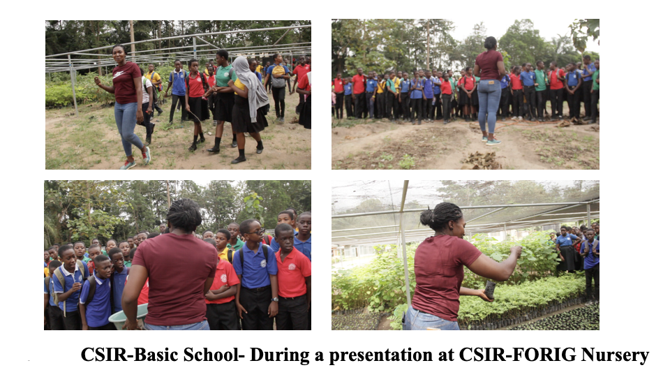 School Program Activity #12
