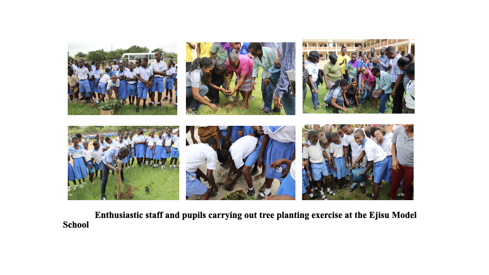 School Program Activity #15