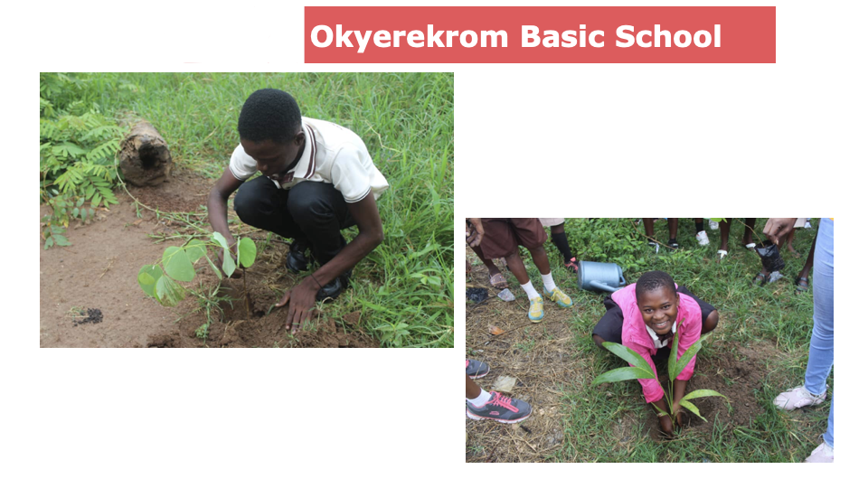 School Program Activity #25