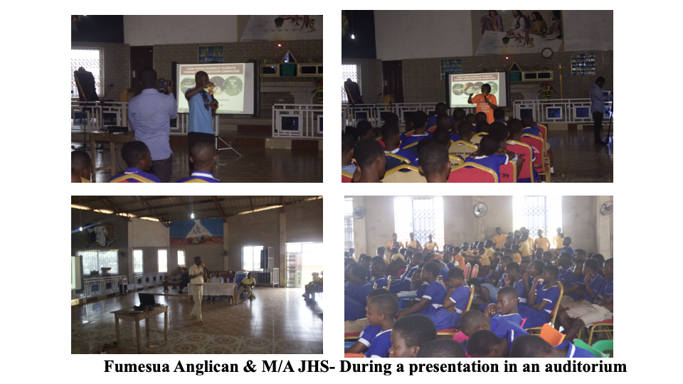 School Program Activity #5